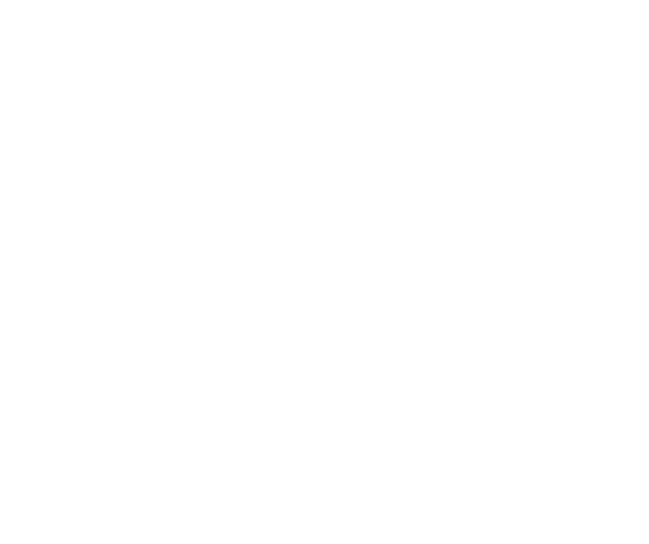Nissan runion